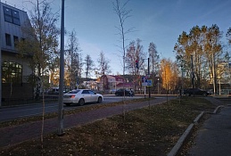 В Ханты-Мансийске обновляют «зелёный наряд» города