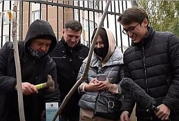 Высаживали деревья под дождём