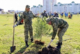 Росгвардейцы в окружном центре высадили лес