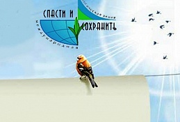 18 мая в Югре официально стартует XVI Международная экологическая акция «Спасти и сохранить»