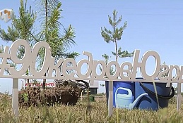 Завершена акция "90 кедров"